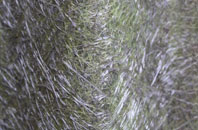 Auchinstarry fibreglass roof work